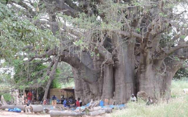 Baobab Lodge