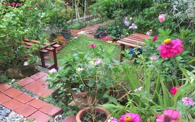 Bukit Tinggi Fuchsia Hillhomes