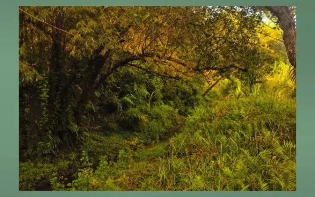 Thondar Homestays
