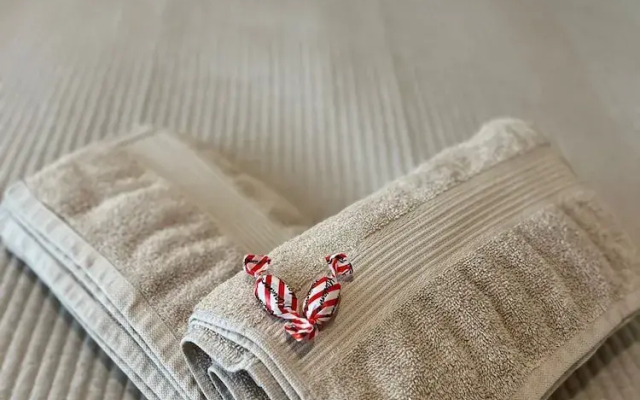 1BR Downtown Apartment with Balcony