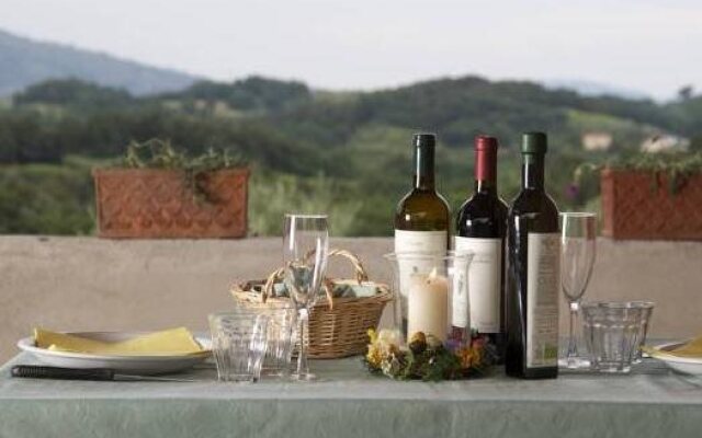 Tenuta Spadaro