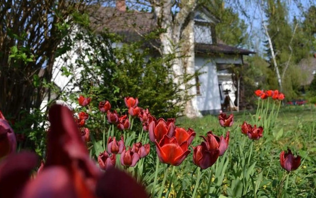 Ferienwohnung Seeliebe