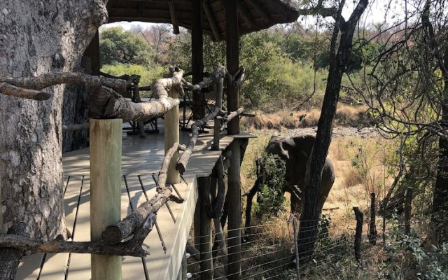Toro River Lodges Big 5 Safari