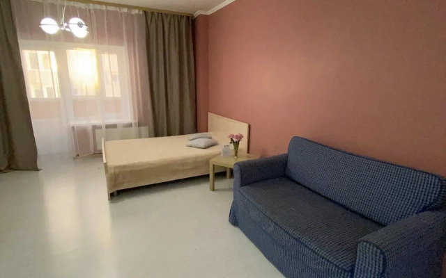 Апартаменты на улице 50 лет ВЛКСМ 19