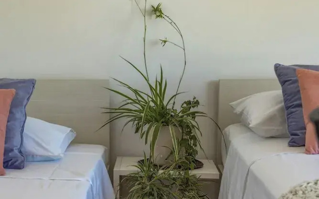 Terra Magica Room with Private Parking