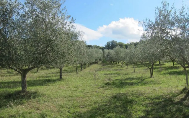 Agriturismo Podere Paugnano