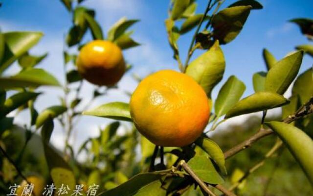 Qing Song B&B
