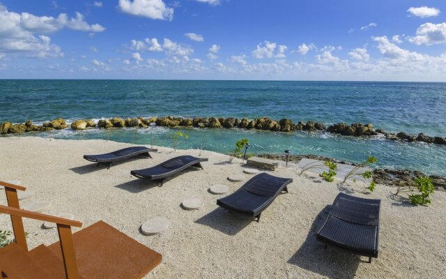 Friendsgiving Island