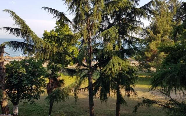 Ldzaa 1komn. kv. na beregu morja