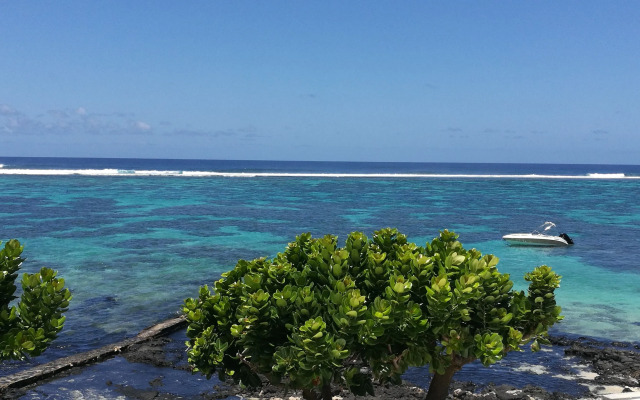 Blue Beryl Guest House