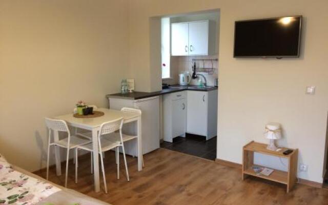 Willa Aleksandra - Apartamenty