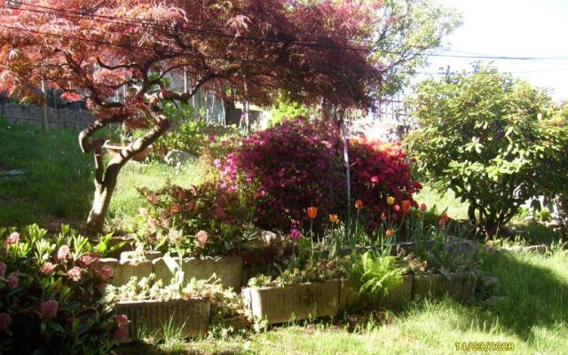 House Yanina by Holiday World