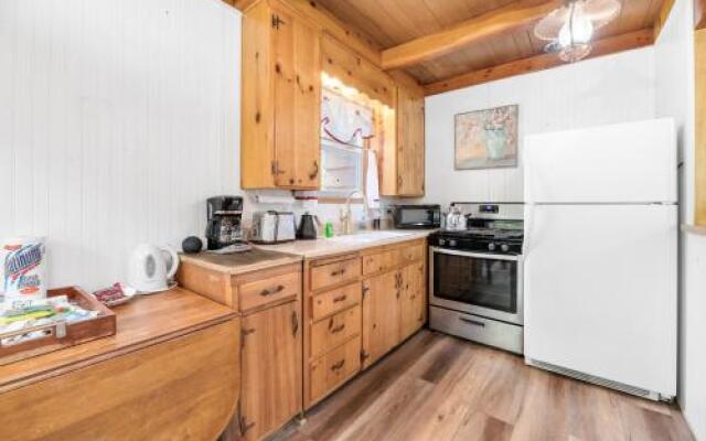 1668 - Finch Nest by RedAwning