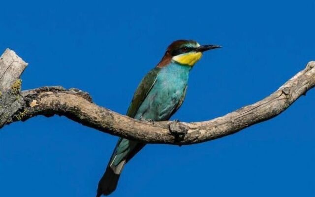 Art-be-and-b Bed and Breakfast