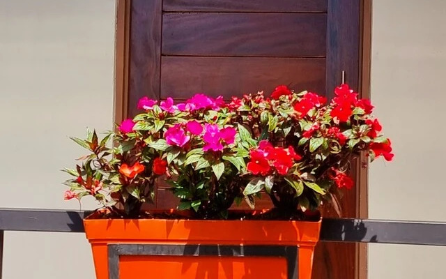 Suites & Villas Calathea