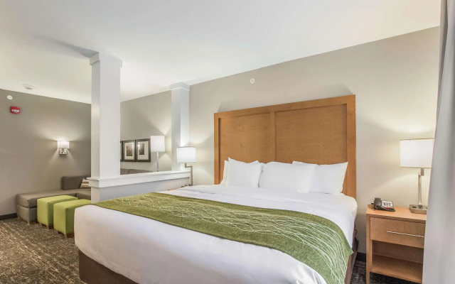 Comfort Inn Jasper South