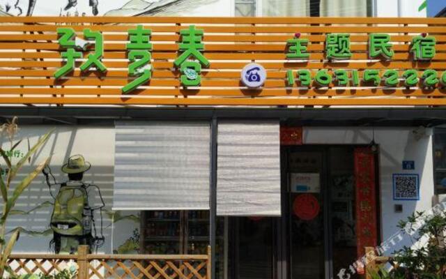 Zhiqingchun Theme Youth Hostel