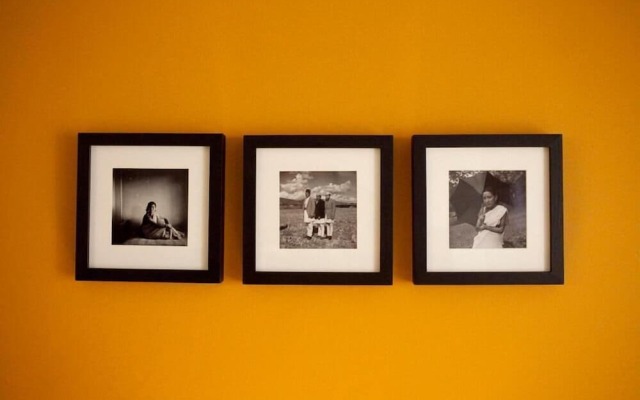 The Yellow House