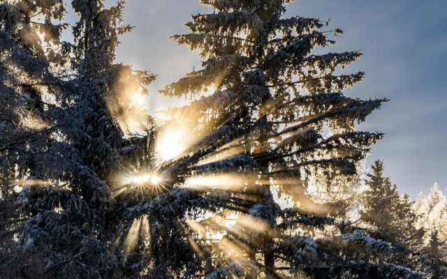 Das Haus am Berg: Nestelberg17