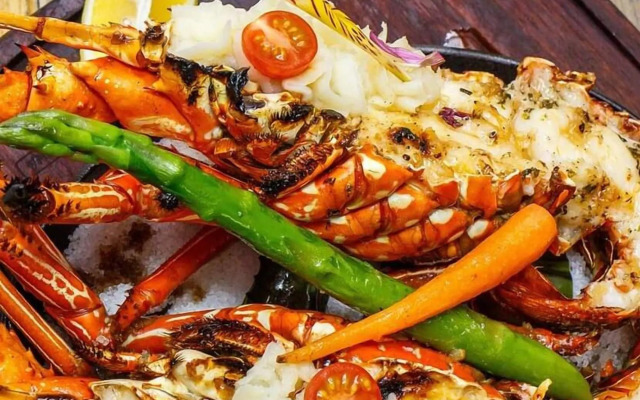 Local Tribe de México