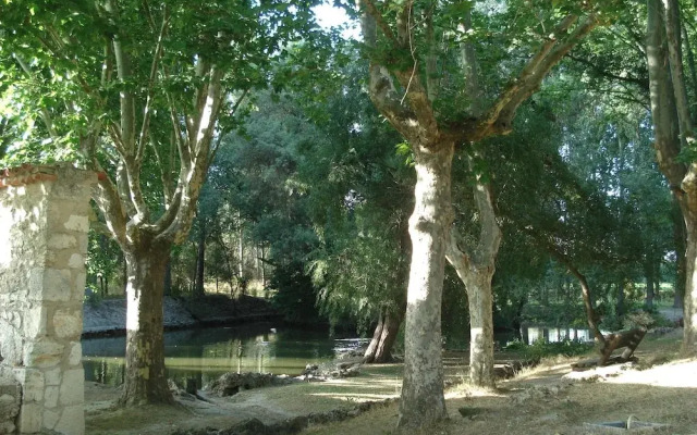 El Rincon del Labrador