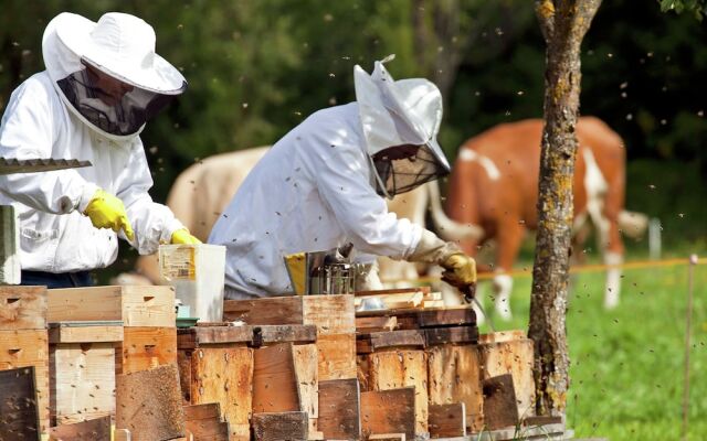 Modern Apartment in Brixen im Thale Tyrol With Terrace