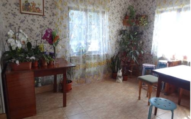 Orchidea Guest House