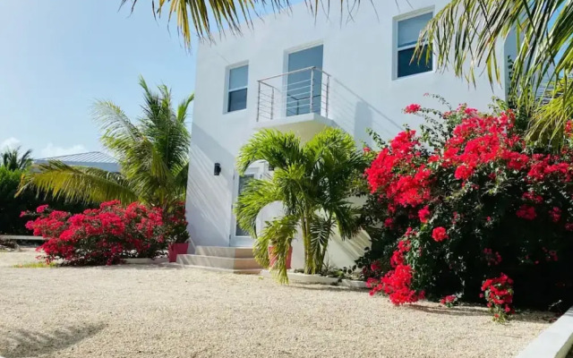 Modern villas at Grace Bay