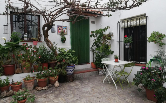 La buganvilla de Juana y Antonio