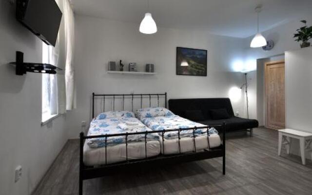 Top Apartmany Lesni