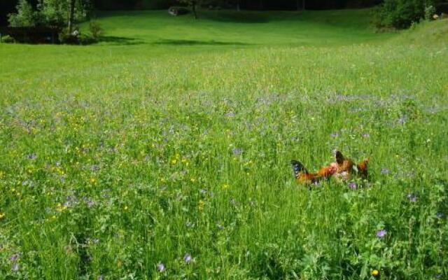 Casa Agriturismo Mattei