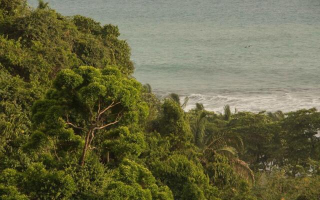 Finca Exotica Eco Lodge