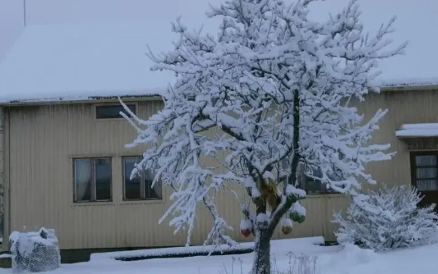 Välimäki Farm Hostel
