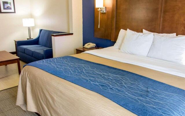 Comfort Inn & Suites Statesboro - University Area