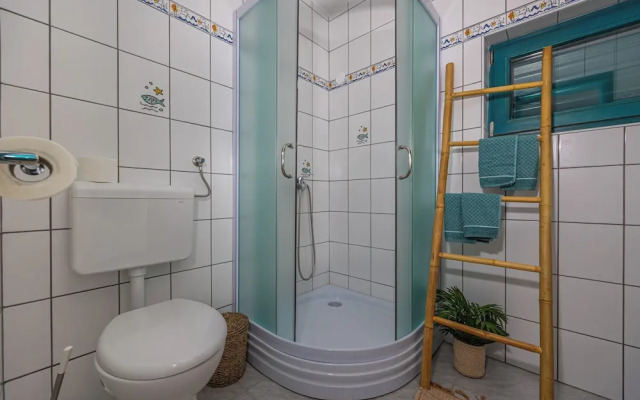 Villa Cikas Palmhouse