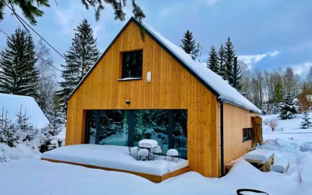 Villa in Bohemia With Barbecue