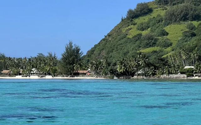 Moorea - Tropical Nest