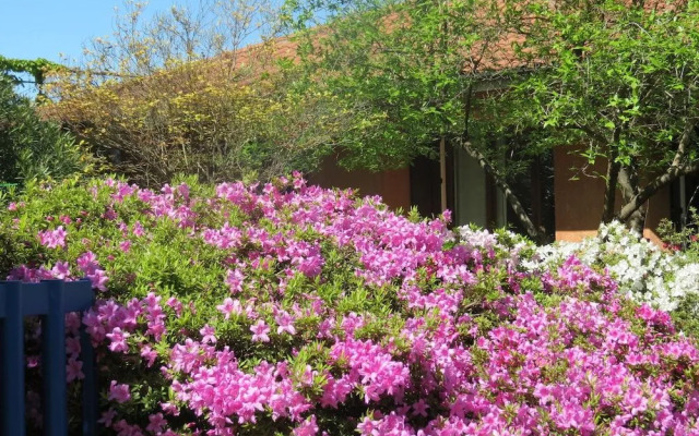 B&B Tana Della Volpe