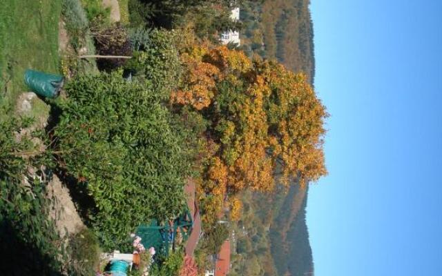 Ferienwohnung Bergblick