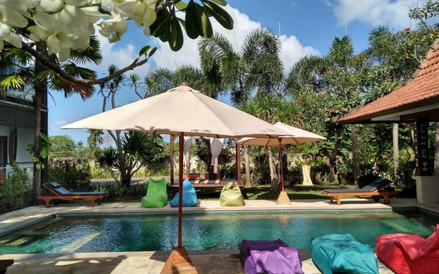 Premier Surf Camp