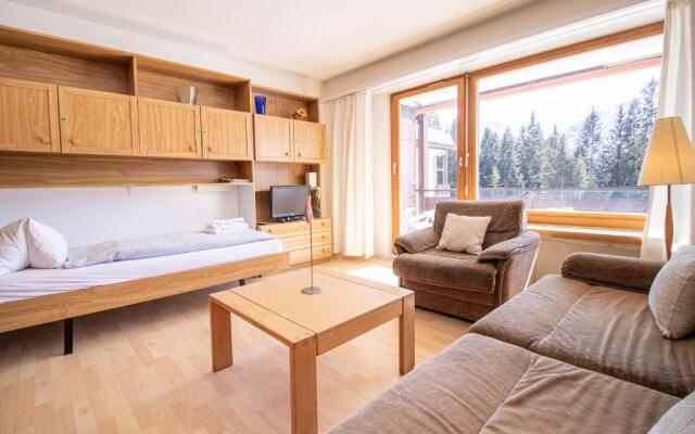 Rehwiesa B24, Studio with balcony