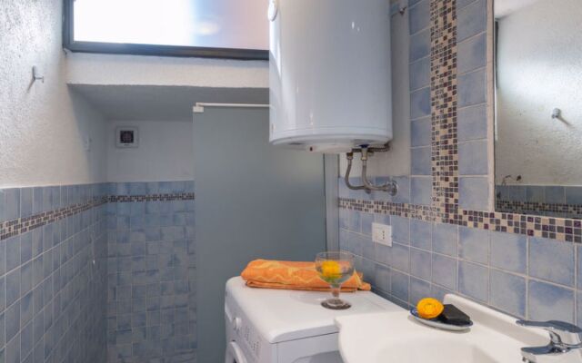 Maria Luisa (DOL286)