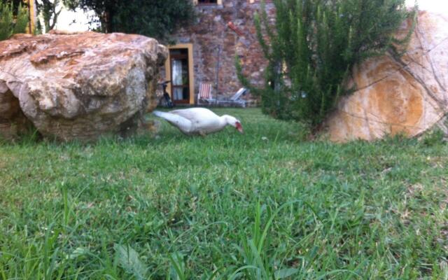 Agriturismo Bio Fattoria di Pietra