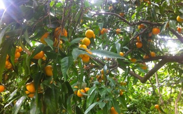 Jardines De La Reina Boutique B&B