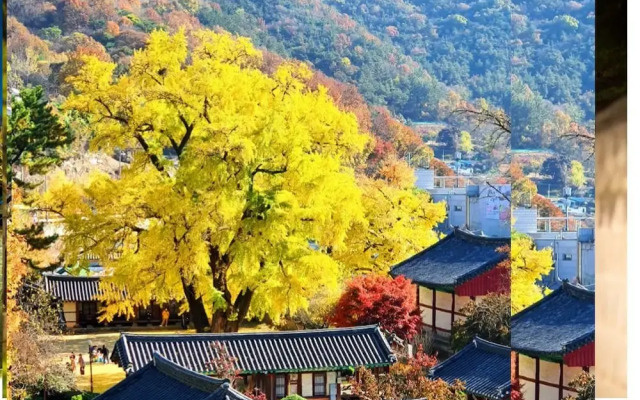 Hotel The Vizit Jeonju