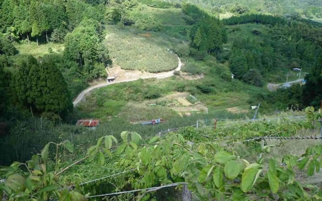 Minshuku Ryokan Miuraya