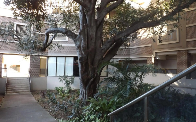 Fiori Apartments