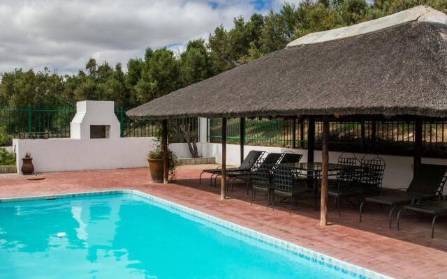 Olive Grove Guest Farm