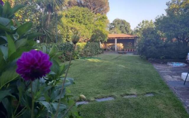 Quinta Drº Amarante