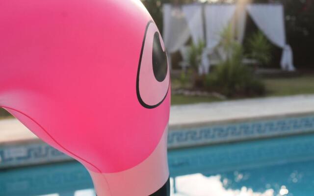 Villa miel et coquelicots